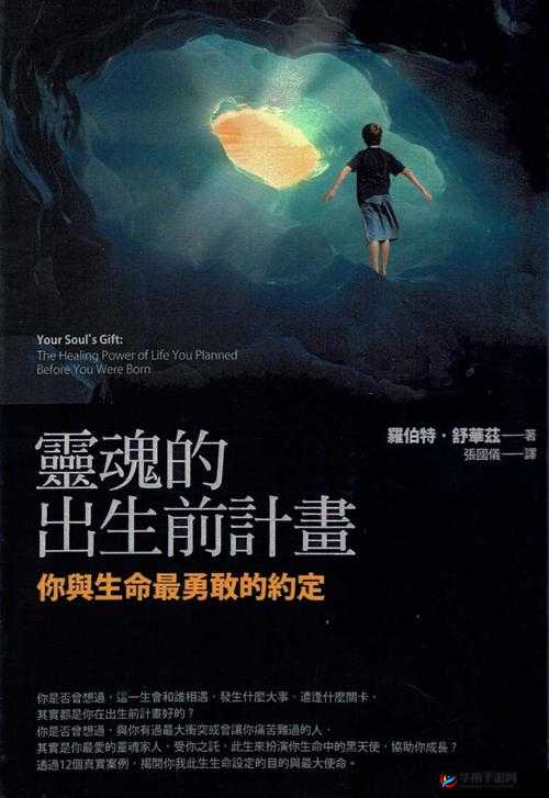 灵魂重塑之旅，在最终幻想，觉醒中的策略运用与深刻人生感悟