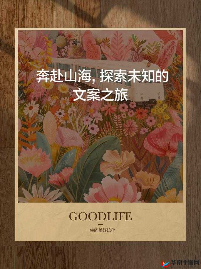 yw193coc：开启独特精彩的未知之旅