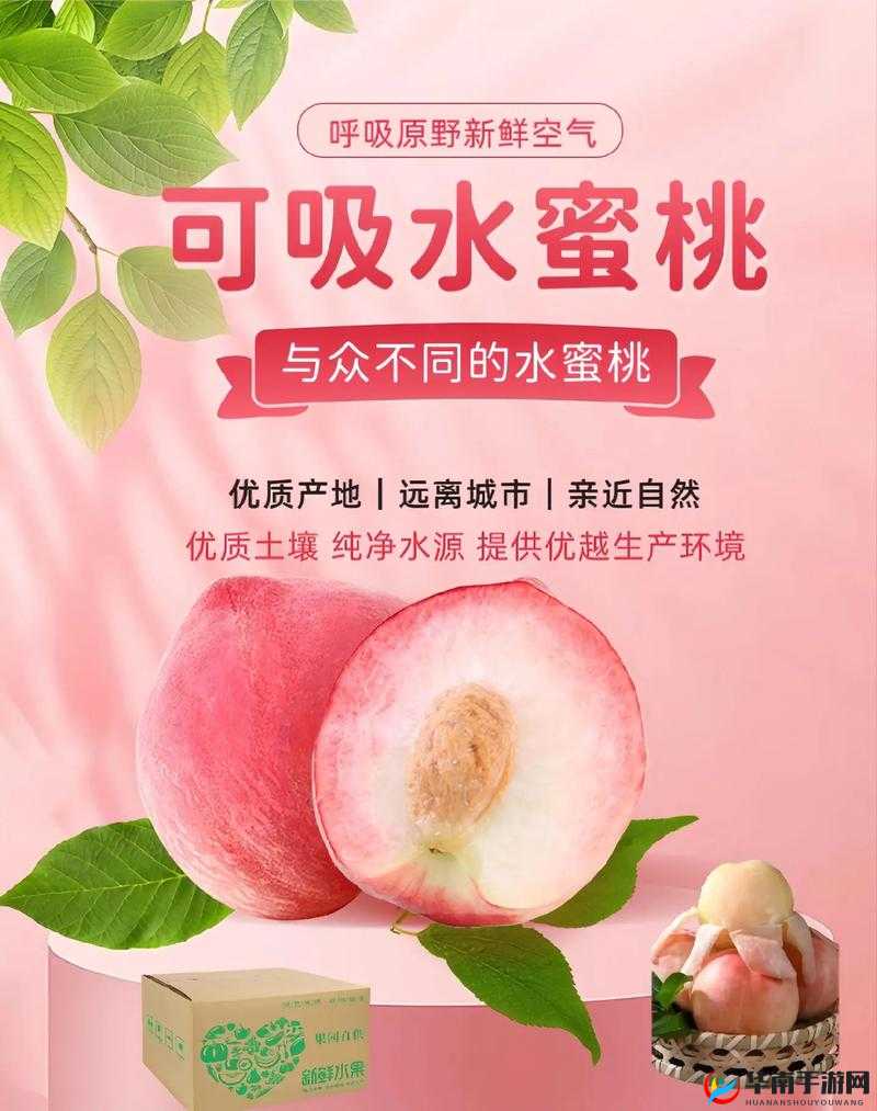 ChineSe蜜挑HDXxXⅩ：一款独具特色的产品介绍