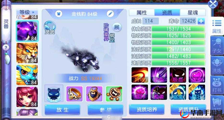 桃花源记手游深度解析，PVP宠物打造技巧与策略推荐指南