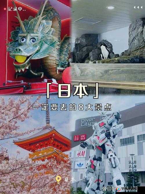 9ab2 尺寸日本：探索其独特规格背后的神秘魅力
