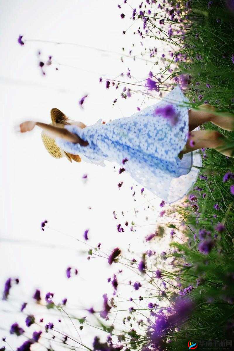 森林少女意大利满天星：梦幻花海中的精灵