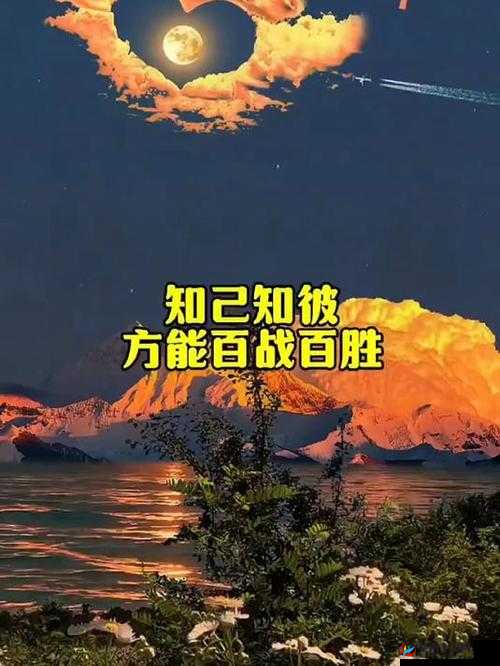 世界之战深度剖析，从战报中汲取智慧，知己知彼策略助力百战百胜之道