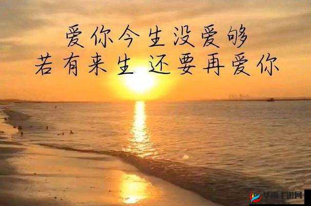 因爱疯狂完整版：一段扣人心弦的深情爱恋之旅
