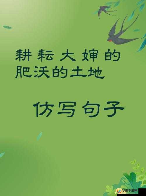 大婶的肥沃的土地有多少字：探究文化内涵与价值