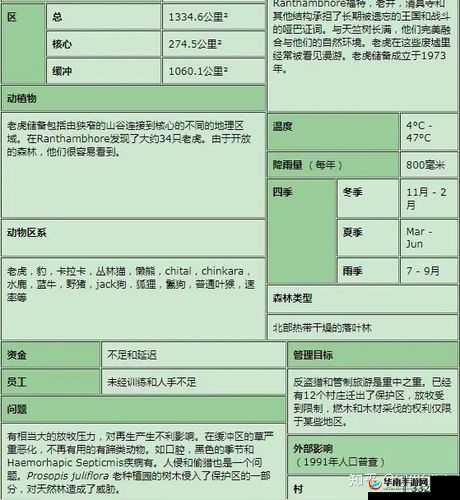 战术大师日常任务高效完成策略，全面指南与深度分析