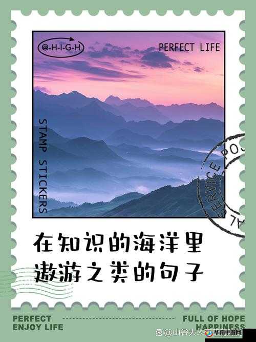 探索与发现，在知识的海洋中航行，追寻智慧的光芒与未知的宝藏