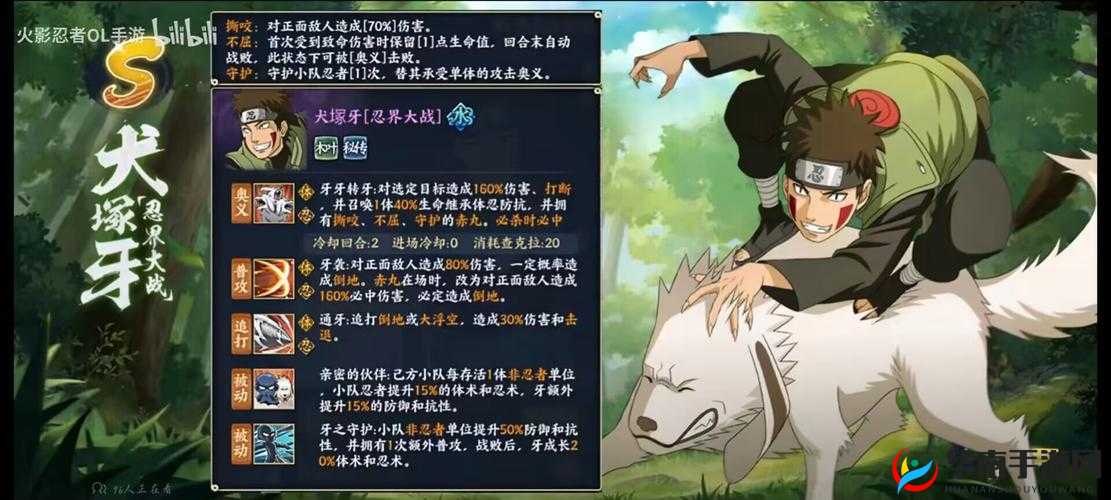 火影忍者手游角色深度剖析，犬冢牙入手价值及是否值得培养全面分析