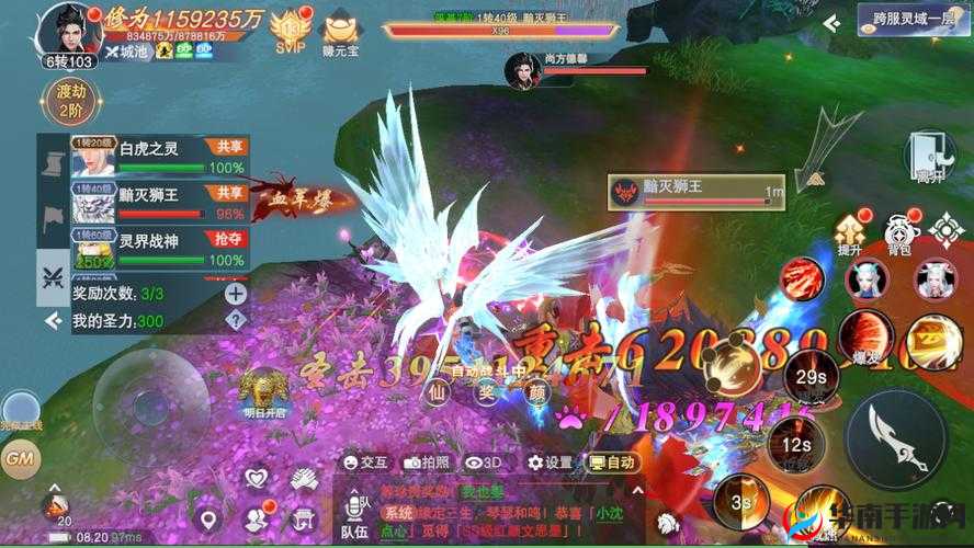 主宰灵域问鼎江湖，深度解析副本玩法技巧与策略指南