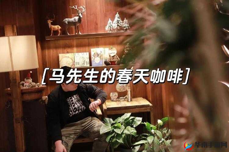 老马的春天中顾晓婷的情感波折与成长之路