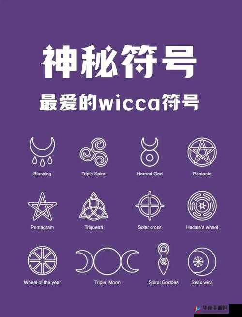上古启示录，深入探索蕴含无尽奥秘的戒指系统之旅
