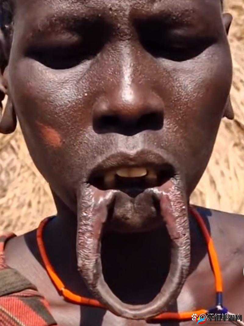 非洲又黑又大的 BBBB：神秘而独特的存在