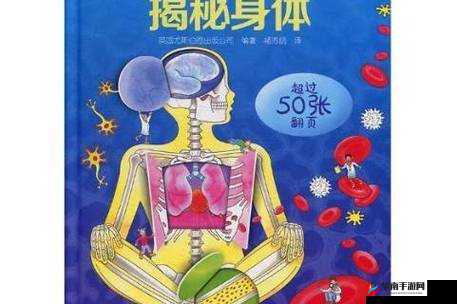 肉莲花：揭秘身体哪个部位的舞蹈艺术