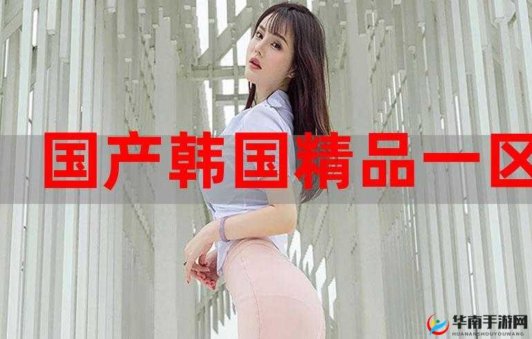 国产一区二三区免费 A 片惊变：一夜爆红背后的秘密