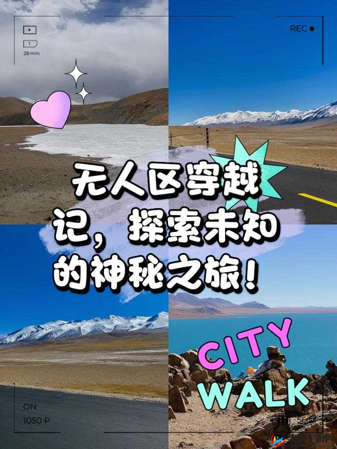 98 无人区码一码二码三码四码：探索未知的神秘领域