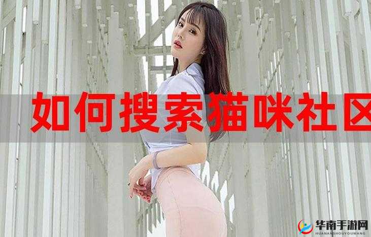 猫咪社区 WWW 在线资源解锁版再次免费开放啦