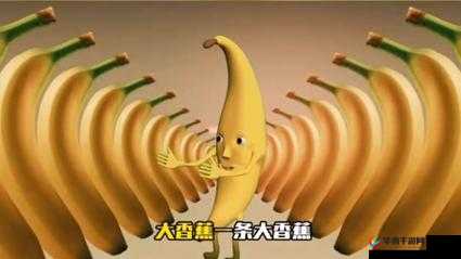 香蕉水蜜桃牛奶涩涩的奇妙滋味探索