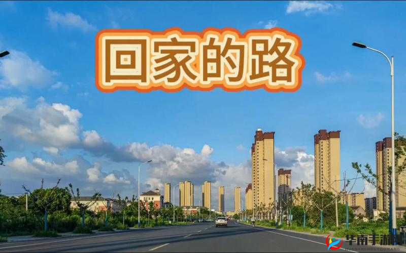 回家永不迷路的小草：2024 年的归家之旅