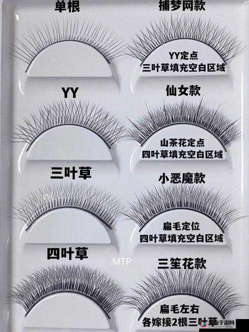 成品人和精品人：四叶草中如何体现区别