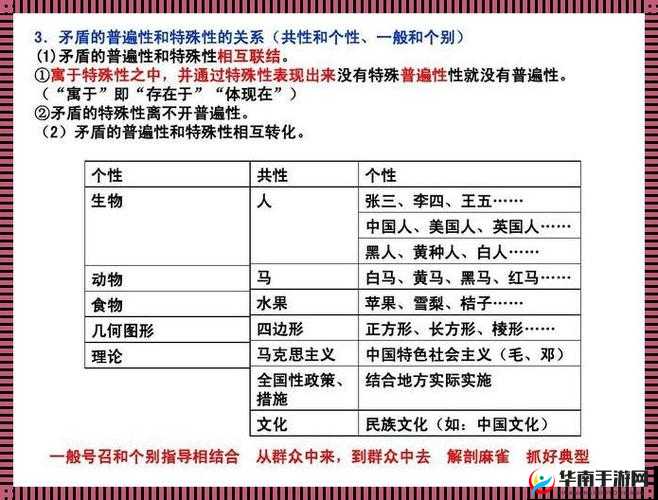 人与畜禽交互：探索和谐共生的奇妙关系