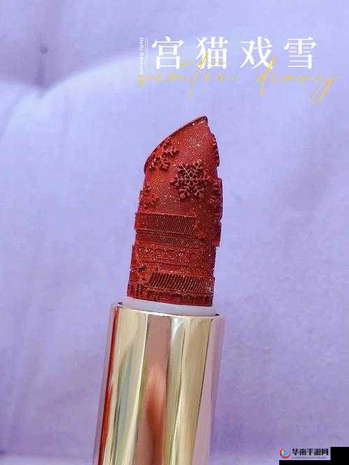 YSL 千人千色 T9T9T90 使用感受：亲测后的真实反馈