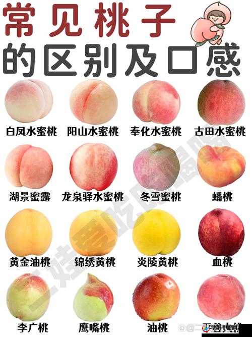 水蜜桃与水蜜桃 V2 重磅登场：多汁甜美，口感升级