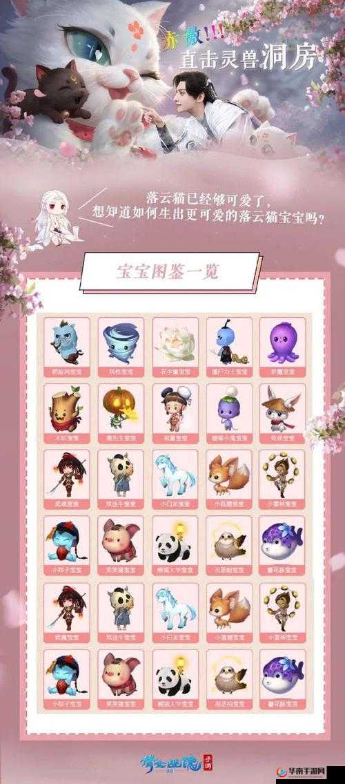 倩女幽魂手游深度解析，灵兽成长属性全面详解与介绍
