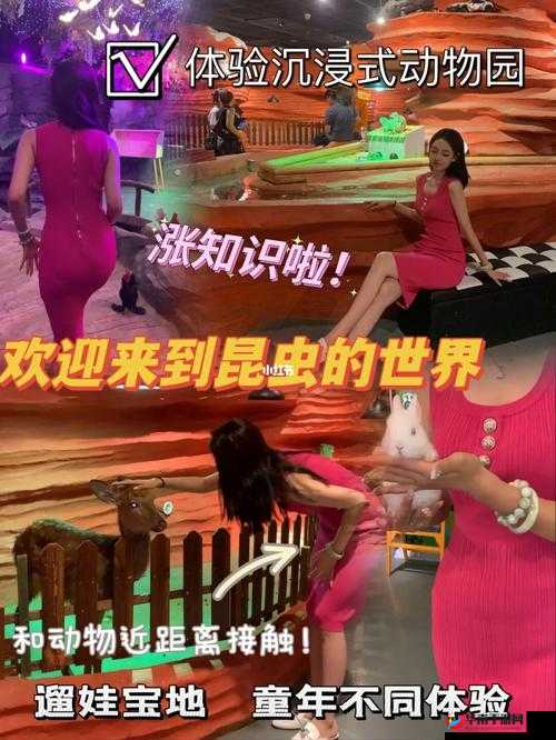 3 个人一起玩 3Q 感受：分享独特体验与深刻印象