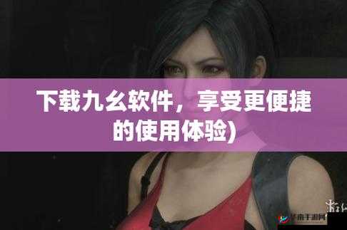 九幺高危风险 9.1 免费版安装免费：风险与安全的权衡之道