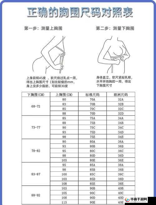 国产尺码和欧洲尺码表 2024 详细对比及应用分析解读