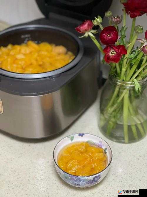 可不可以 PO 橘子糖水：带你领略独特的饮品魅力