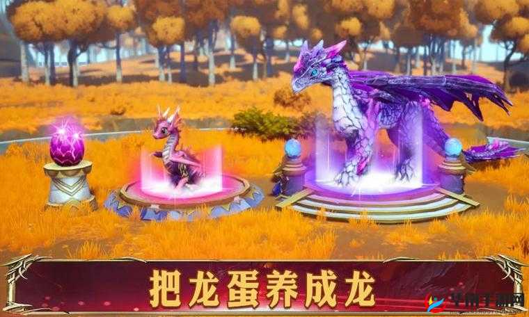 幻想英雄2游戏深度解析，冰冷之血挑战的规则与策略全览