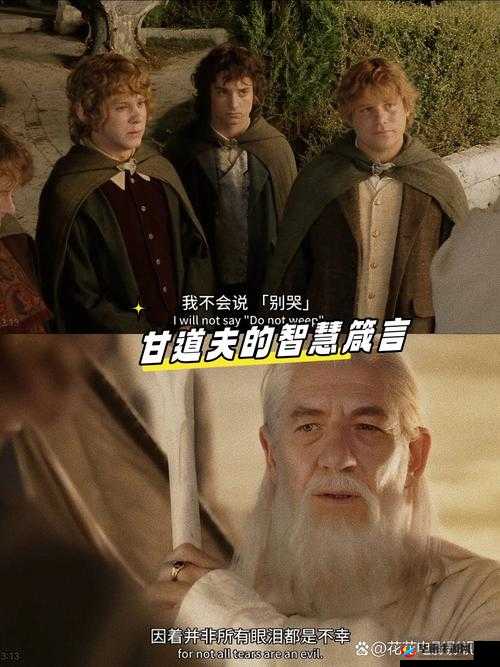 指环王再现！深度揭秘上单炼金术士指环王流派出装与技巧攻略