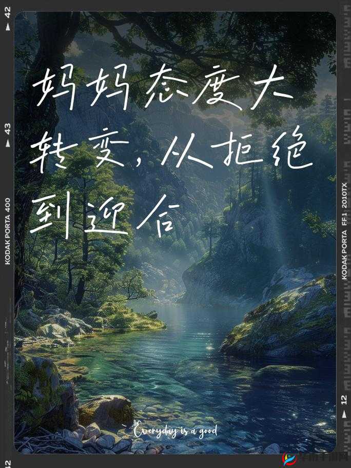 妈妈没拒绝也没同意这模棱两可的态度令人费解