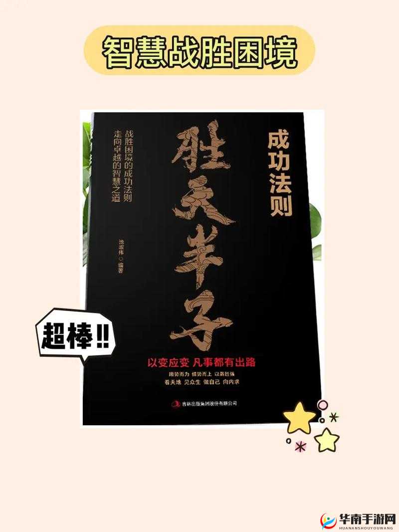 风云天下战火重燃，深度解析布阵艺术与策略致胜的实战秘籍