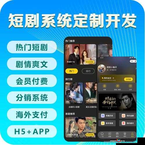 成品影视 APP 开发公司：致力于打造优质影视应用平台