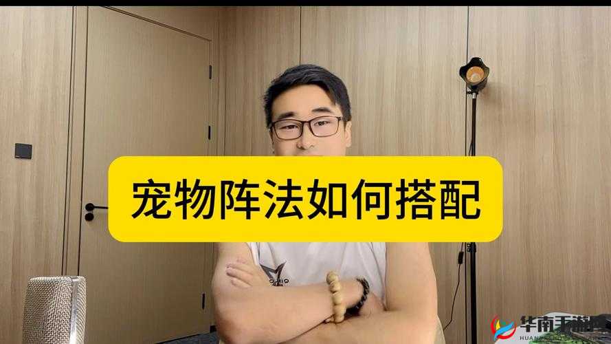 天天炫斗，低阶宠物不仅是游戏起点，更是玩家乐趣与策略布局的源泉