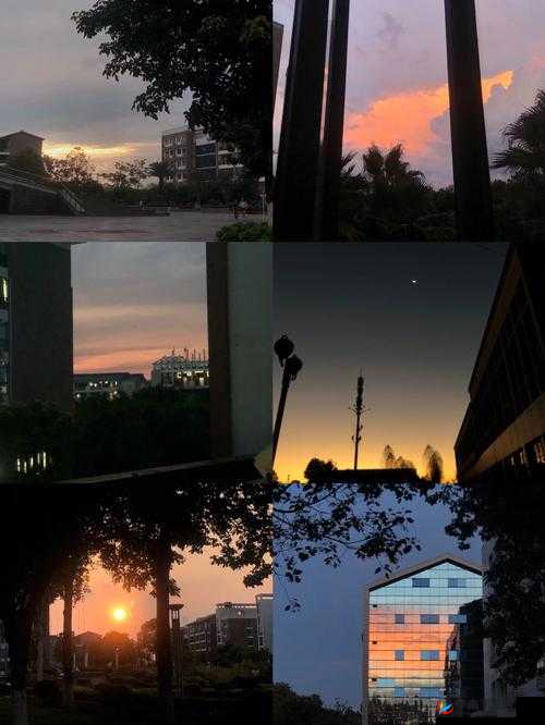朝阳初升，照亮校园 1-1h 的静谧与美好