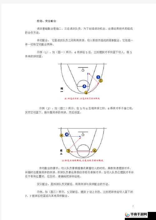 深入剖析团队协作在球球大作战中的重要性及团战高效配合技巧