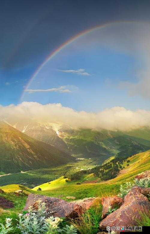 画风细腻展现九州天空城世界级美景，资源管理的重要性及高效策略解析
