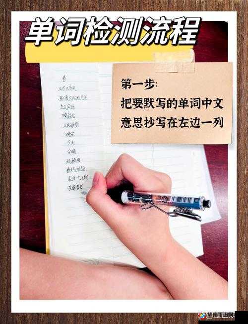 词汇达人养成记：与学霸共坐鸡背单词