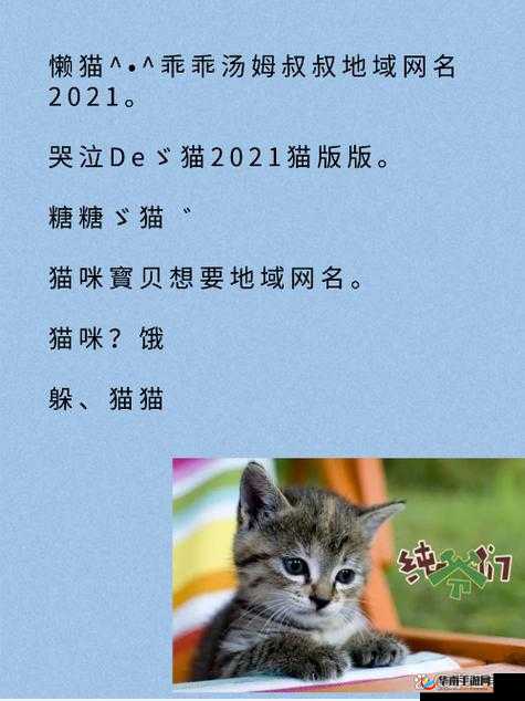 猫咪的永久地域网名是什么——探寻其独特魅力与意义