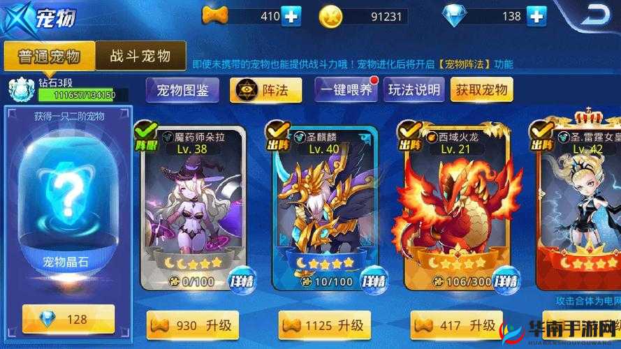 天天炫斗战力飞跃秘籍，宠物系统深度剖析与进阶攻略