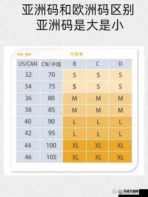 欧洲尺码日本尺码专线中老年款式更新：时尚新风尚引领潮流前沿