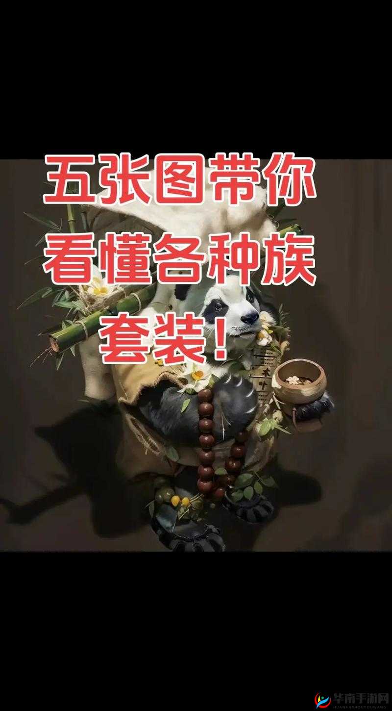 大话西游热血版，人族职业高效打怪，精选伙伴搭配策略推荐