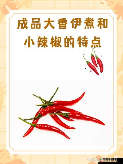 成品大香伊煮和小辣椒的特点高清频道：无限时间开放，精彩内容等你来