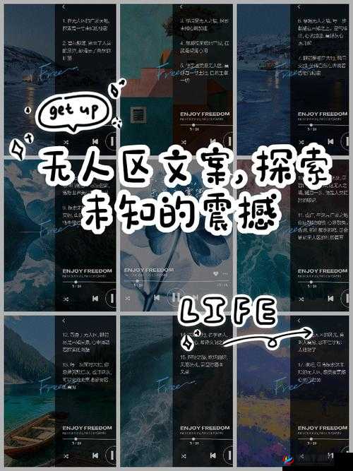 无人区一码二码三码四码区：探索未知领域的神秘代码之旅