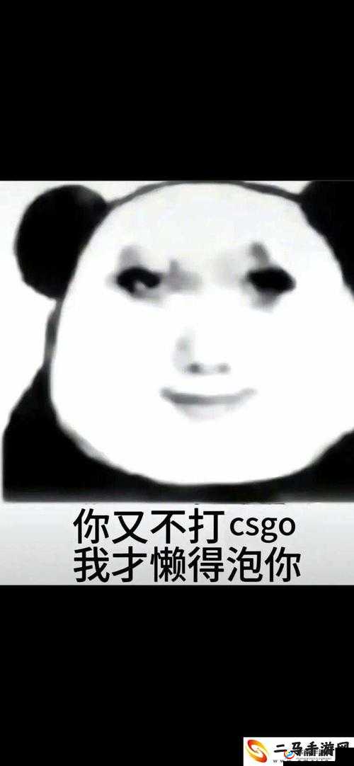 暴躁老姐的 CSGO 心得分享视频-带你领略不一样的游戏世界