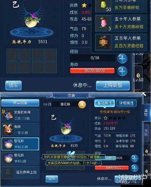 倩女幽魂手游灵兽技能全面解析，省钱高效培养攻略大揭秘