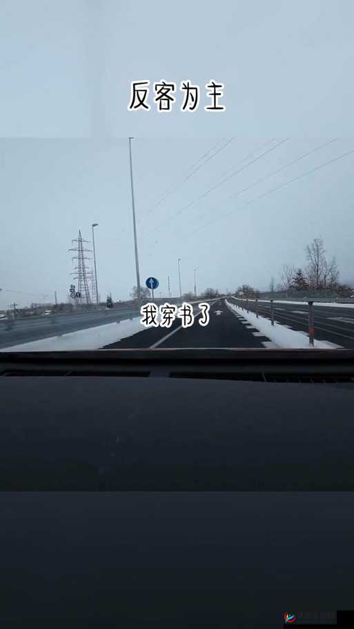 陈婷王建李珊张超交换：一场反客为主的游戏